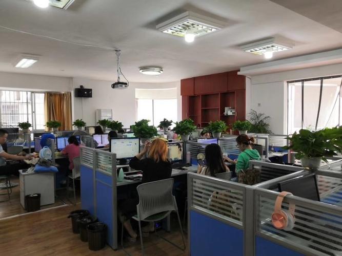 钟顺,公司经营范围包括:网络技术的研发;计算机网络系统