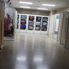 上海金喜展览服务公司 专业展览服务助力企业品牌腾飞