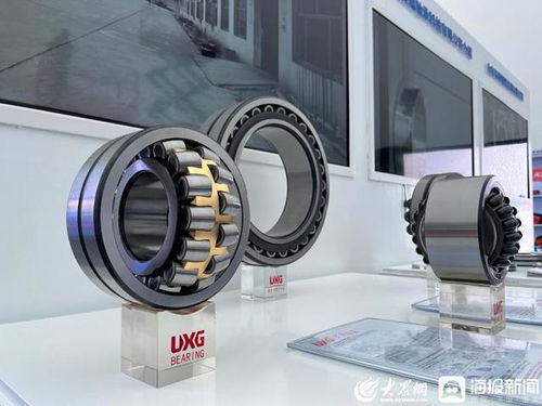 张百顺巡看第三届跨国公司领导人青岛峰会聊城展区 展示区域魅力，共促开放合作